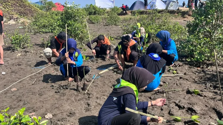 Pesisir Banten Terancam, Mapala se-Banten Tanam 1.000 Mangrove