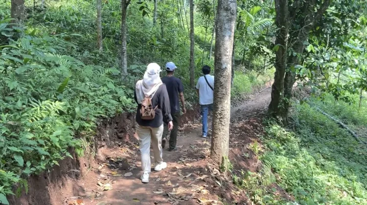 Tiga Pekan Dibuka, Gunung Gedor Perlebar Jalur Pendakian