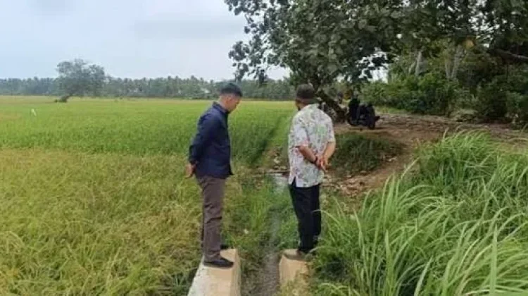 Dinas Pertanian Lebak Intensif Atasi Kekeringan Lahan Sawah