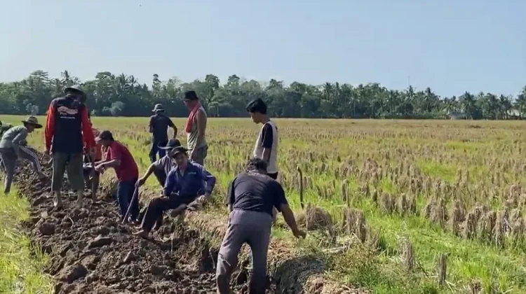 Kerap Banjir dan Kekeringan, Mahasiswa Unma dan Warga Normalisasi Irigasi