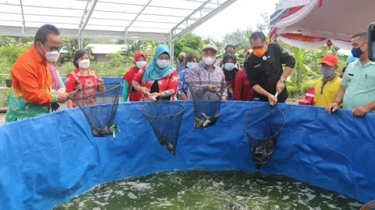 Lebak Bidik Jadi Lumbung Ikan Air Tawar Lewat Budidaya Tematik