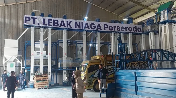 Perseroda Lebak Niaga akan Lakukan Kontrak Farming dengan Petani