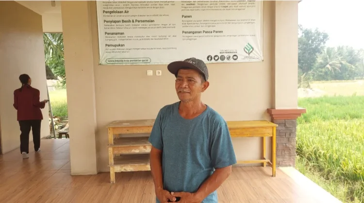Mang Yana: 25 Tahun Setia Sama Sawah, Mampu Kuliahkan 4 Anak