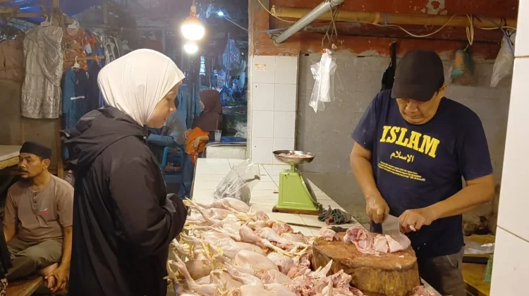 Harga Ayam Potong di Pandeglang Tembus Rp40.000 Per Kilo