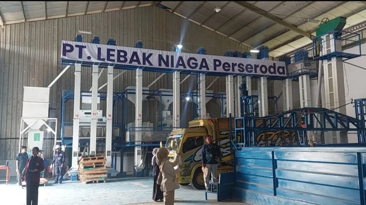 Surplus 172 Ribu Ton Beras, Lebak Siap Pasok Pangan Jabodetabek