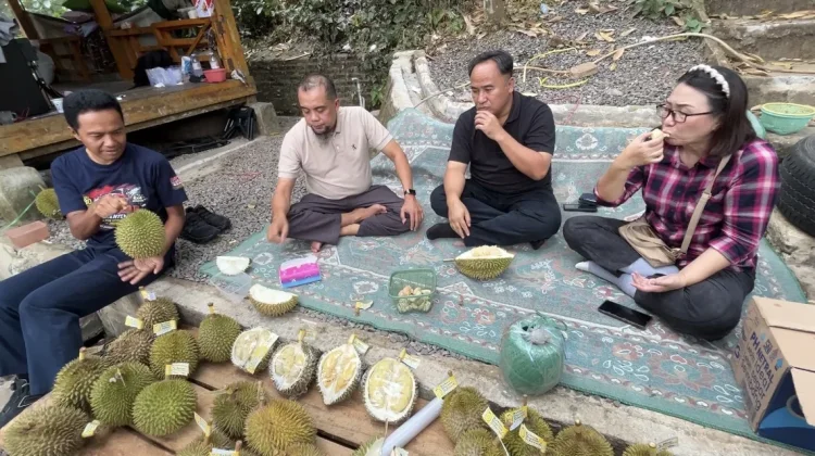Gagal Panen Tahun Lalu, Durian Cibendung Kini Diburu Pengunjung