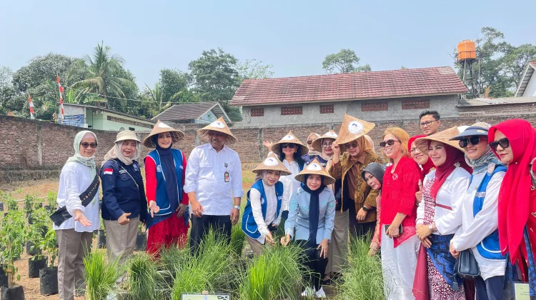 Pemkab Serang Dorong Kampung Hortikultura untuk Perkuat Pangan