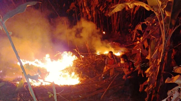 Enam Hektar Lahan di Cigeulis Terbakar