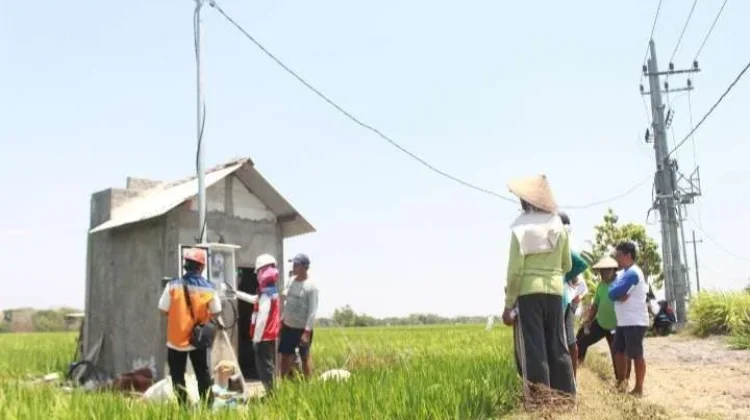 Listrik Sawah Bantu Petani Lebak Atasi Kemarau