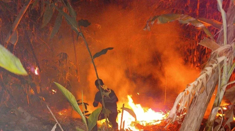 BPBDPK Pandeglang Catat 13 Kebakaran Selama Juli-Agustus 2026