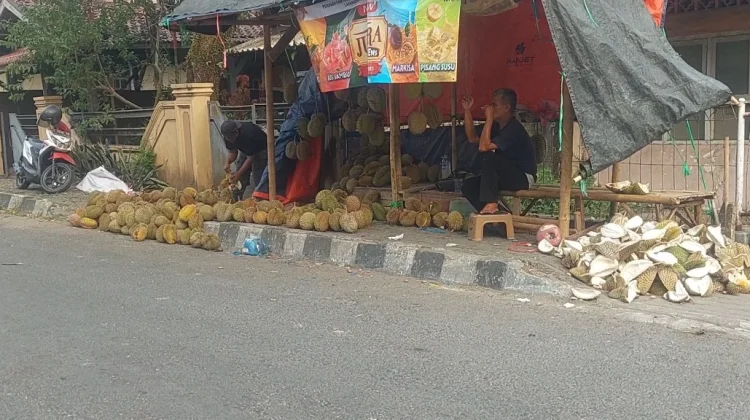 Panen Raya Durian Baduy, Penjual Ramai kan Kota Rangkasbitung