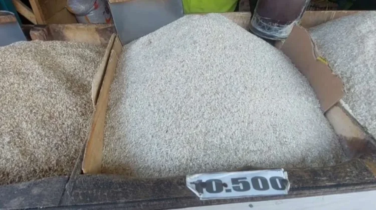 Produksi Beras Lebak Surplus hingga Empat Belas Bulan