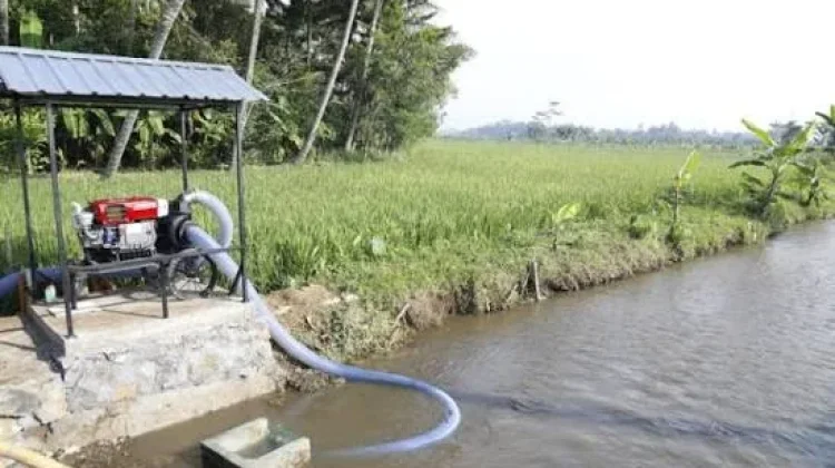 Pompanisasi Lebak Jaga Produksi Pangan saat Kemarau