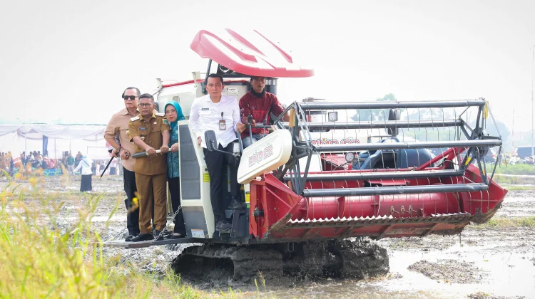 Gubernur Tegaskan Petani di Banten Harus Sejahtera dan Terapkan Pertanian Modern