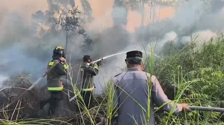 Polres Lebak Gencarkan Pencegahan Kebakaran Hutan