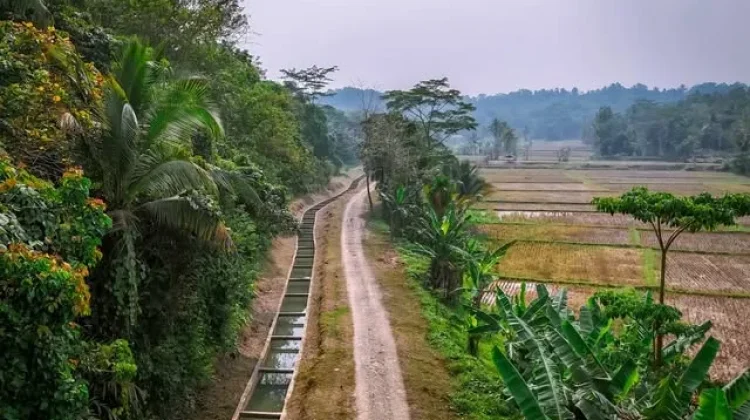 Hadapi Kemarau Panjang, Pemprov Banten Akan Perbaiki Irigasi 81 Kilometer