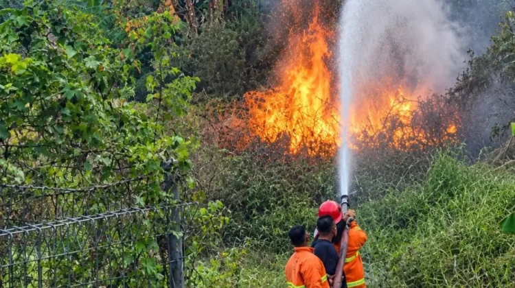 Kekeringan Picu Risiko Kebakaran Lahan