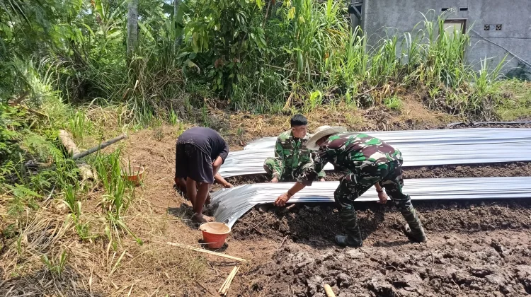 TNI Dampingi Petani Pandeglang Genjot Produktivitas Melon