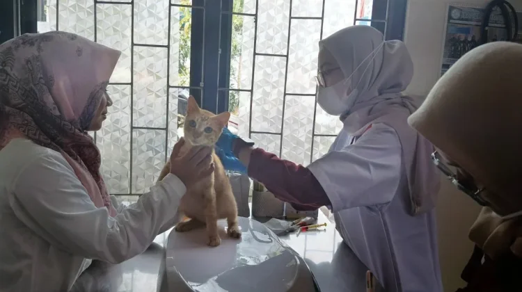 Tantangan Vaksinasi Rabies pada Hewan Liar di Pandeglang