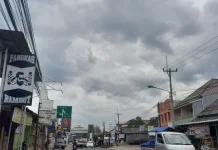 Regulasi Kabupaten Sehat Pangkas Pendapatan Pajak Reklame di Pandeglan