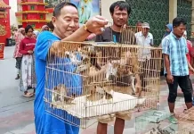 Warga Tionghoa Sambut Imlek Penuh Tradisi di Vihara Avalokitesvara