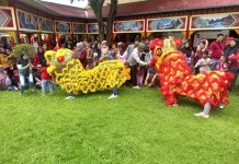 Barongsai Meriahkan Imlek 2577 di Vihara Avalokitesvara