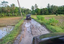 Jalan Desa di Lebak Masih Banyak yang Rusak