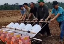 Distan Lebak Tanam Perdana Kedelai Bersertifikat