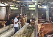 iSIKHNAS Dorong Deteksi Dini Penyakit Hewan Lebak