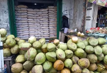 Usaha Kelapa Warisan Keluarga Bertahan Hingga Sekarang