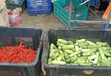 Cabai Dua Ton Ludes saat Bazar Ramadan di Bojonegara
