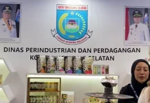 Inkubasi Bisnis Perkuat Daya Saing IKM Tangerang Selatan