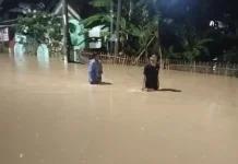 Diguyur Hujan Lebat Ratusan Ruhmah di Bojonegara Terendam Banjir