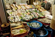 Cermat Memilih Ikan Segar agar Aman Dikonsumsi