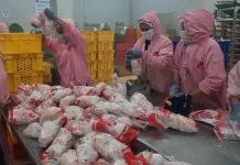 Pengawasan NKV Pastikan Keamanan Pangan Unggas Lebak