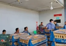 Pengawasan DOC Pastikan Bibit Ayam Berkualitas