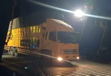 Belasan Kapal Disiapkan di Pelabuhan BBJ untuk Angkut Truk Besar