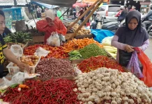 Pasokan Belum Stabil, Harga Bumbu Dapur di Pasar Badak Meroket