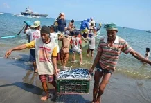 Nelayan Perikanan Lebak Capai 4.400 Orang