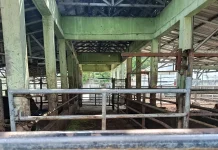 Wali Kota Serang Prioritaskan Pembenahan sementara Rumah Potong Hewan