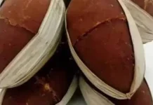 Gula Aren Lebak Jadi Andalan Ekonomi Daerah