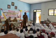 Enam Fungsi Strategis UPTD PPA Lindungi Korban Kekerasan
