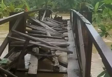 Jembatan Perintis Garuda: Solusi Konkret Atasi Wilayah Terisolasi