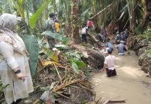Hadapi Kemarau, Pandeglang Targetkan Optimalisasi Pompanisasi Lahan Pertanian