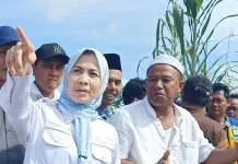 Bupati Serang Tinjau Irigasi Tirtayasa dan Serap Aspirasi