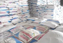 Stok Pupuk Subsidi Lebak Dipastikan Melimpah