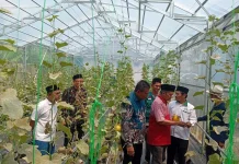 Manfaatkan Lahan Wakaf, PCNU Pandeglang Bangun Wisata Petik Buah Melon