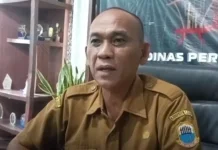 Peningkatan Produktivitas Padi Lebak Melalui Penyuluhan Intensif