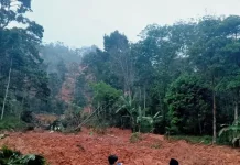 Longsor di Lebak Rusak Sawah dan Kebun Warga