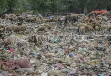 Pemkab Lebak Bakal Olah Sampah Jadi Bahan Bakar Alternatif
